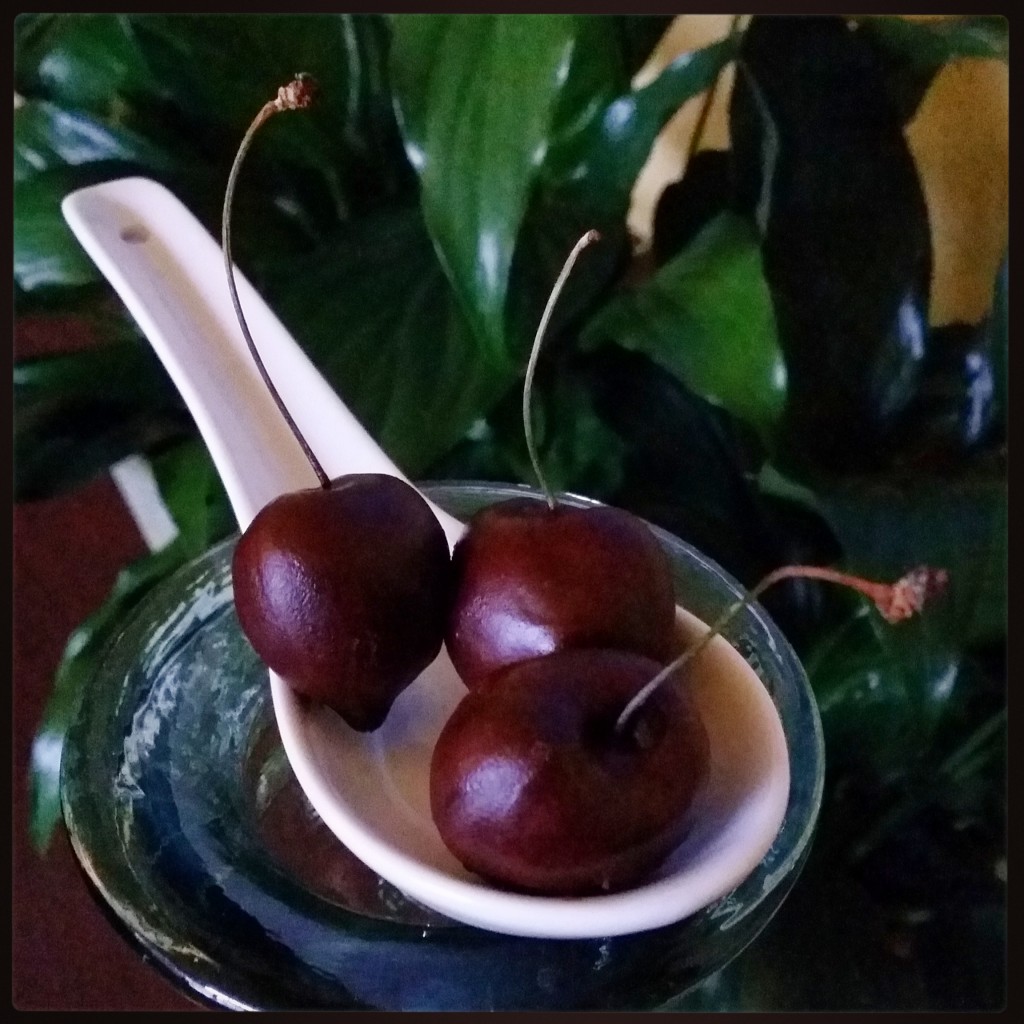 Healthier Chocolate Covered Cherries Recipe
